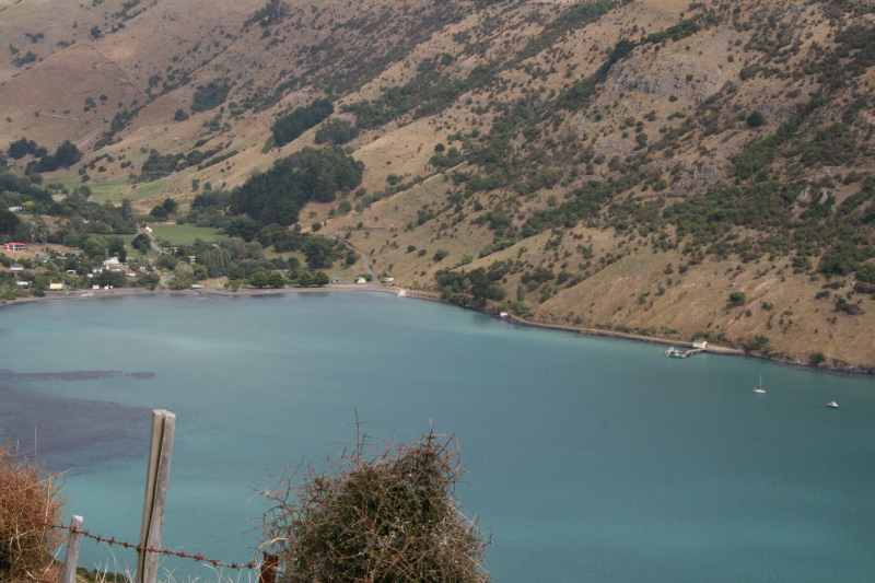 Nieuw-Zeeland 2011 - 2128